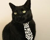 F1新赛季揭幕战之夜,京多安如何一手掌控比赛走势?